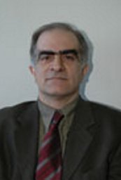 Demitrios H. Vynios