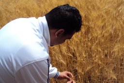 Ainane Tarik