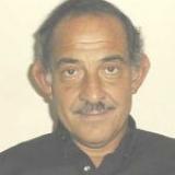Adel A. M. Saleh