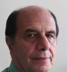 Majid M Heravi