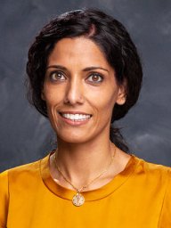 Vaneet K Sandhu