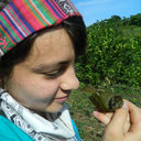 Estefani T. Martinez-Sanchez