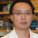 Guohui Li
