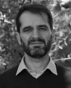 Nicola Vanello