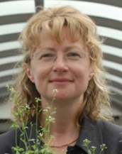 Karen Halliday