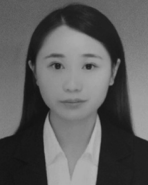 Han Wang