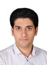 Hadi Feizi