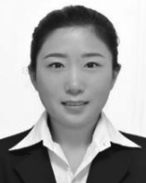 wei bai