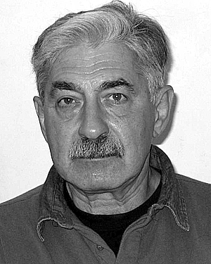Valery A. Zheludev