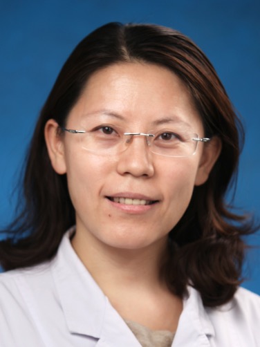 Xiuli Sun