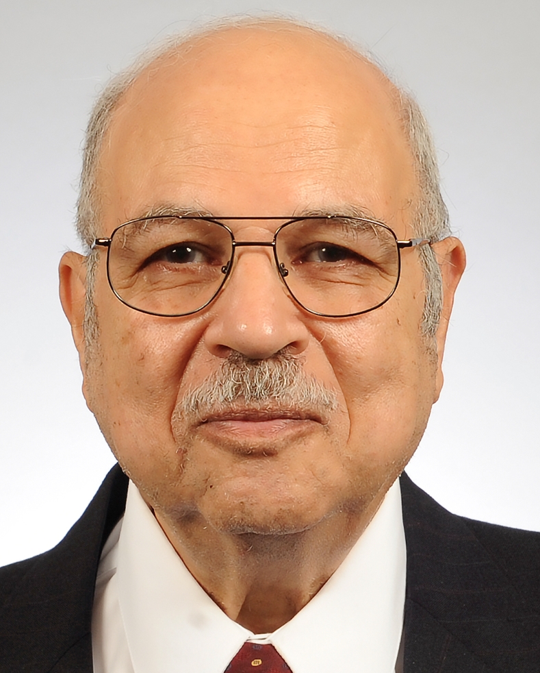 Wasfy B. Mikhael