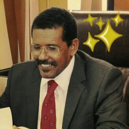 Yousif Mohamed Ahmed Idris .