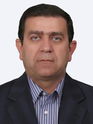 M. Parsa Moghaddam