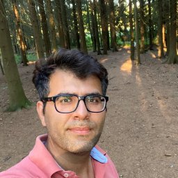 Ramin Akhi