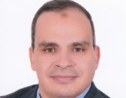 Ahmed G. Radwan