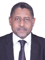 Salaheldin Mubark Elkhalifa