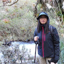 Yanling Peng