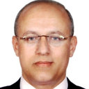 Essam A Elgamal