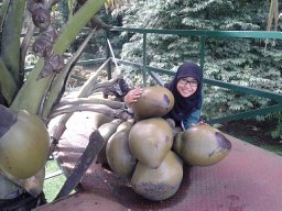 Fitri Fatma Wardani