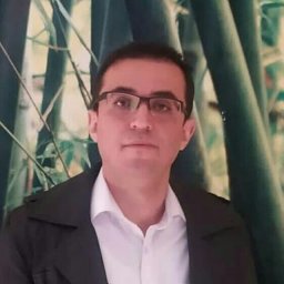 Mohsen Hamzeh