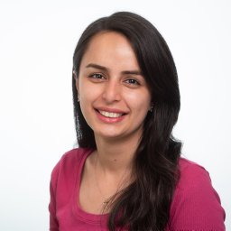Faezeh Sanaei Nezhad