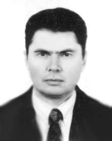 a n bratsev