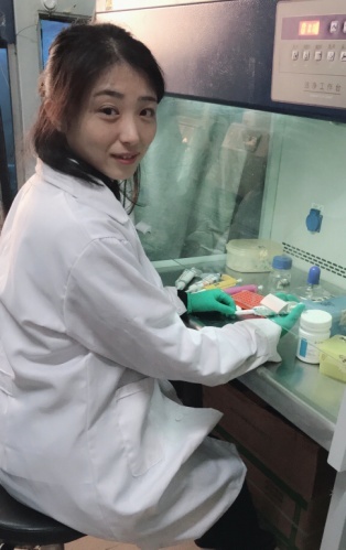 Huihui Fu