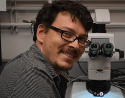 Jerome Pouzoulet