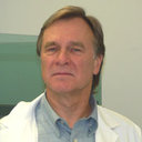 Stewart L Macleod