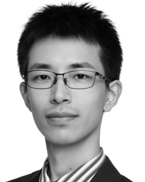 Wenjun Li