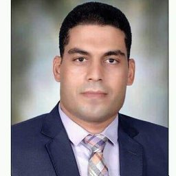 Khaled A. Metwally