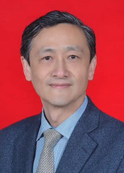 Wenping Wang