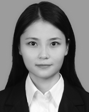 Fan Ye