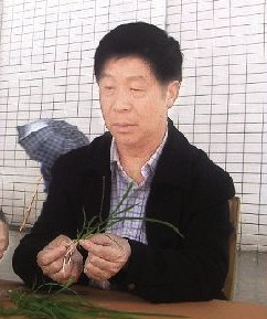 Cenglin Xiao