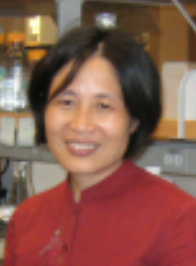 Shufeng Li