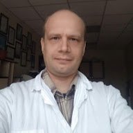 V. A. Volochaev