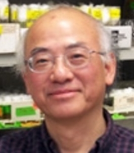 Chun-Fang Wu