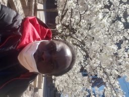 Aimola Idowu A