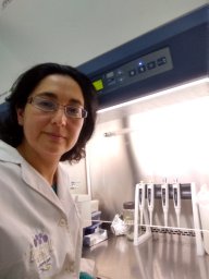 Ibañez Lorena Itatí