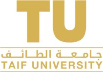Saeed Althubiti
