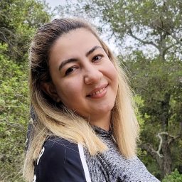 Narges Rezaie
