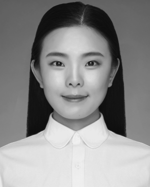 Hui Li 