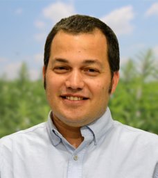 Zvi Peleg