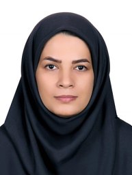 somayeh sadat shahzeidi