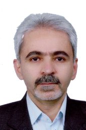 Seyed A. Mesbah-Namin