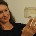 Christiane Weirauch