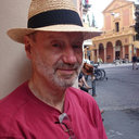 Friedel Bolle