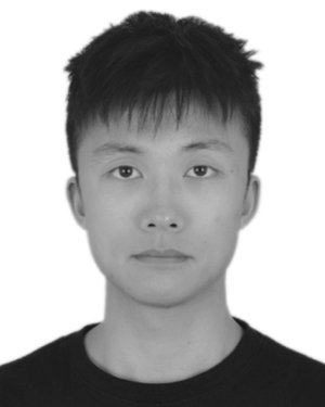 Qiming Zhang