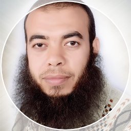 Mahmoud A. Abd-Rabo