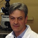 Marcello D'Ascenzo